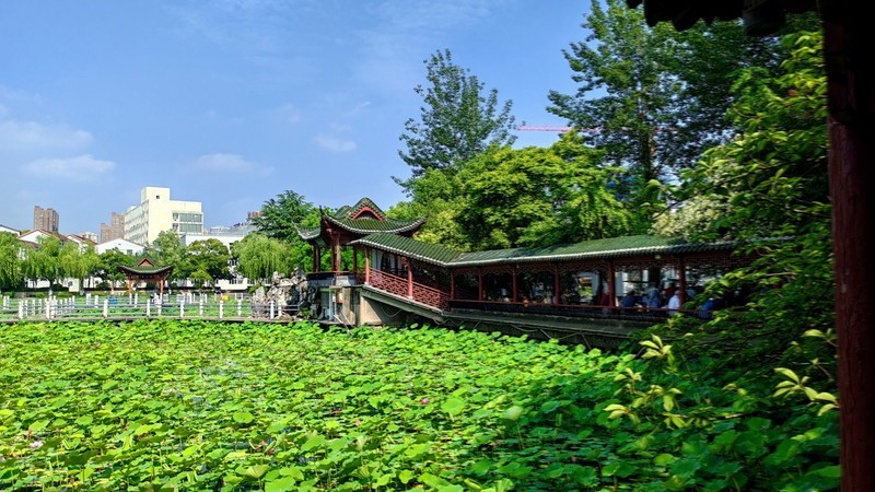 柳春园