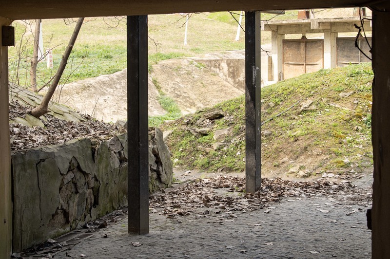 庐州印象（597）