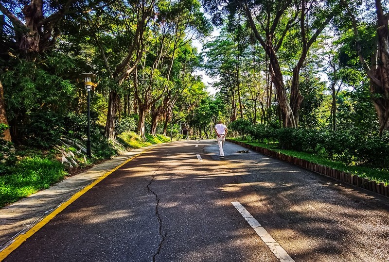 深圳园博园 掠影