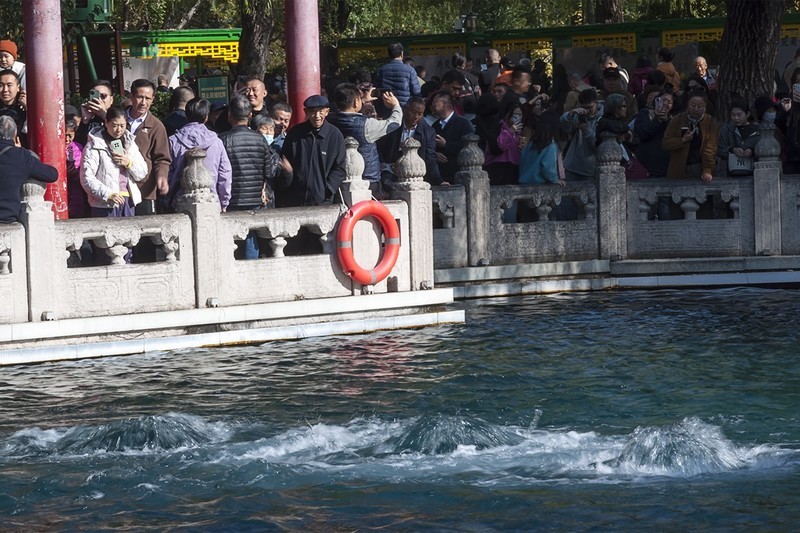 济南趵突泉第46届金秋菊展-19