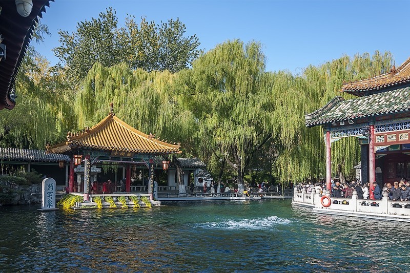 济南趵突泉第46届金秋菊展-19