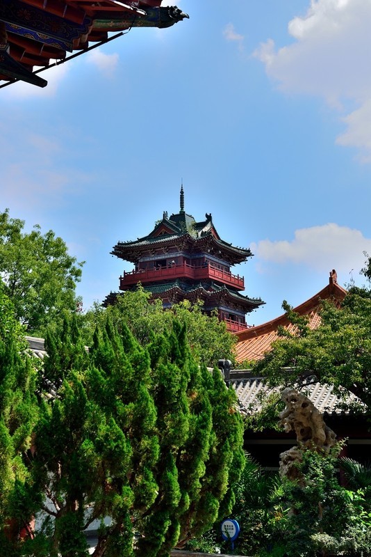 【视觉光影】旅 游 随 拍 （12）