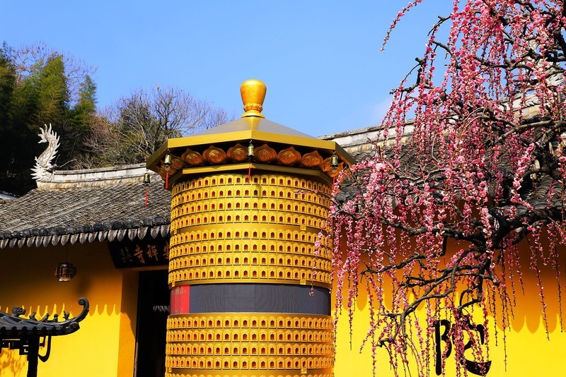 永嘉普安禅寺龙梅