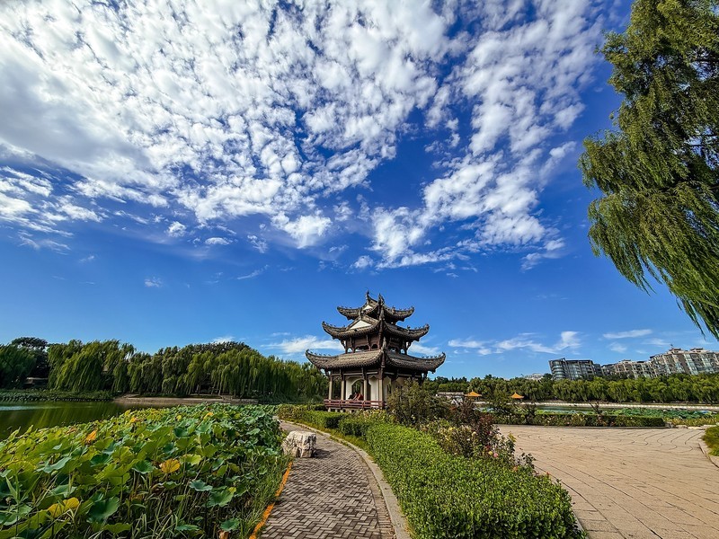2026年- 北京陶然亭风光拍-0600
