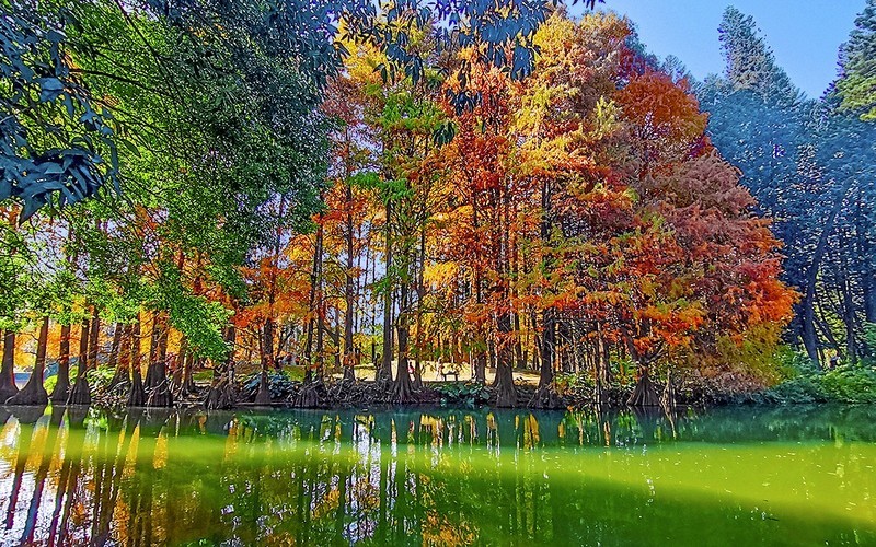 [26076] 华南植物园