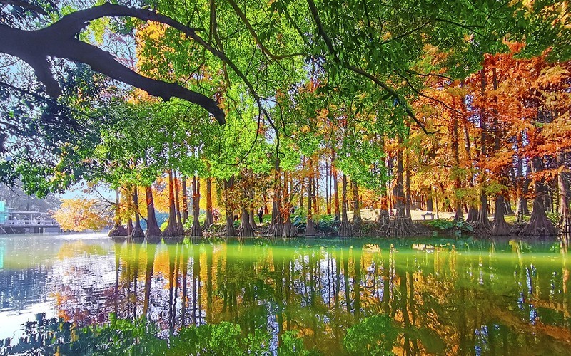 [26076] 华南植物园