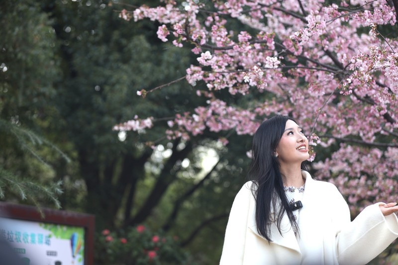 晓园公园来赏花