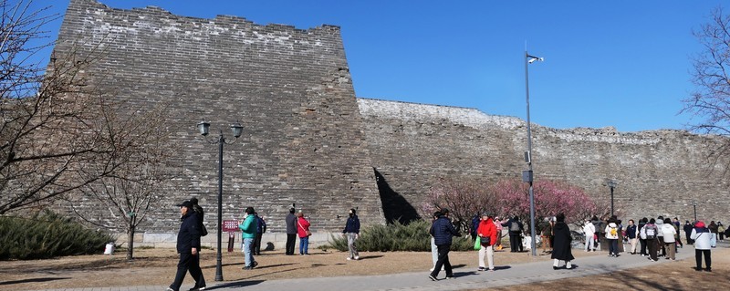 明代城墙春来早