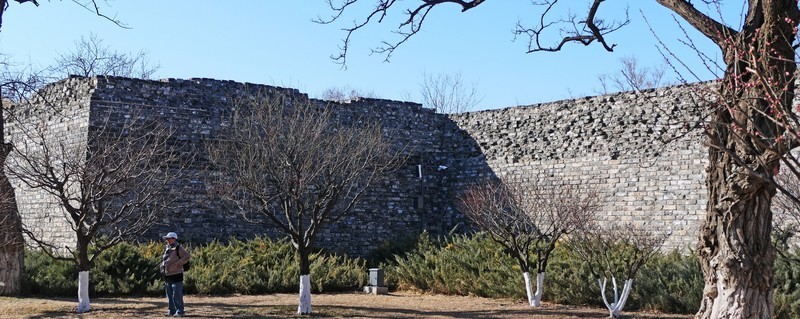 明代城墙春来早