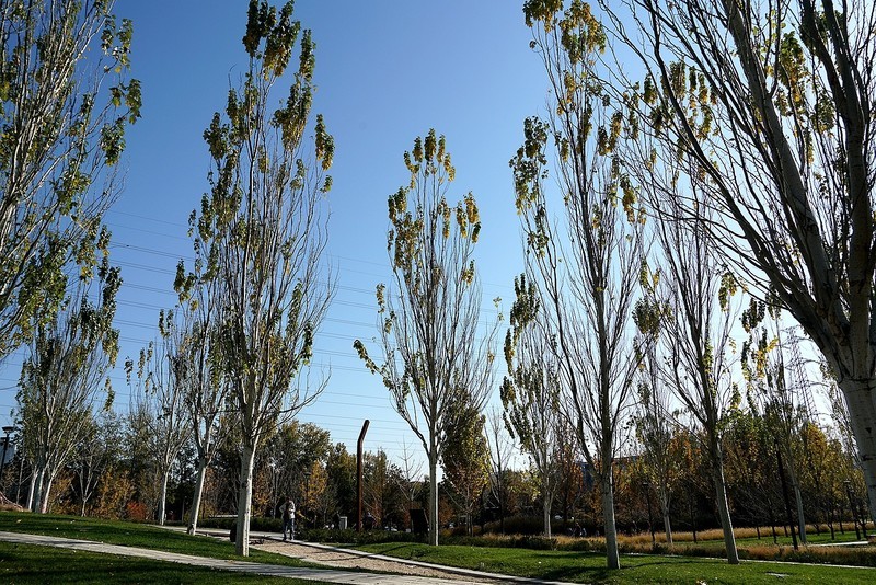 北京记行：清华园京张铁路遗址公园