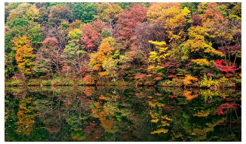 秋 . 赏枫龙道沟