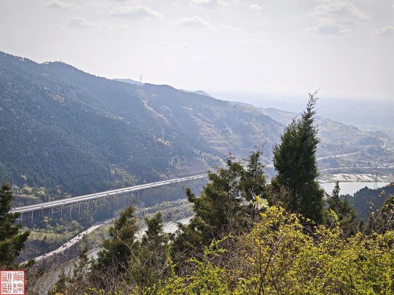 2025.4.2外出吸新鲜空气（18）