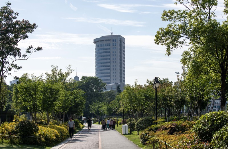 庐州印象（662）五月杏花公园
