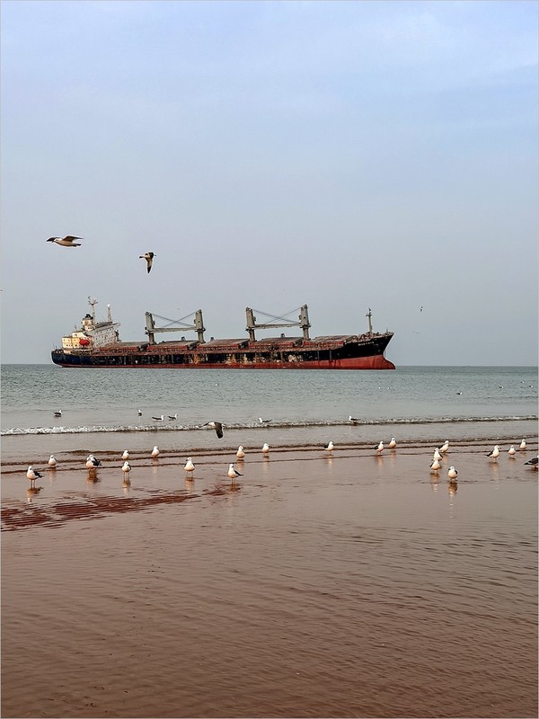 2026年-威海海滩风光旅拍-0191