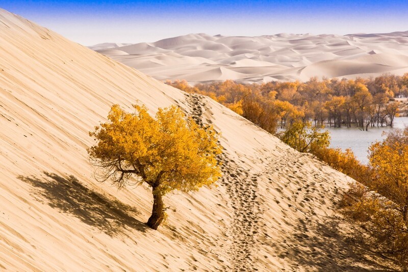 外出随拍（692）.