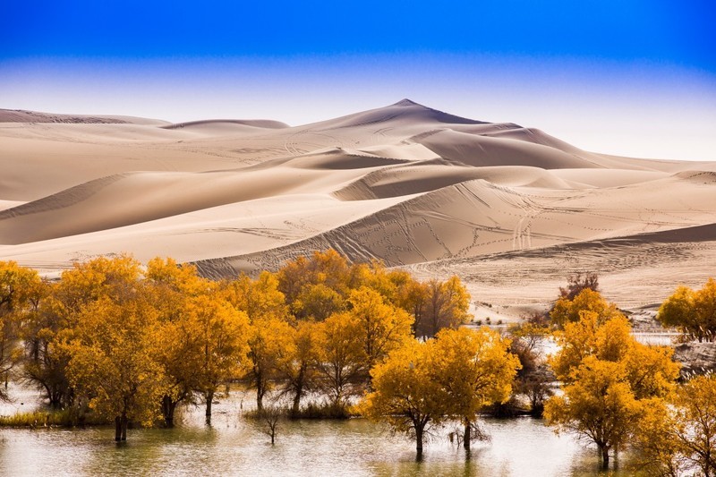 外出随拍（692）.