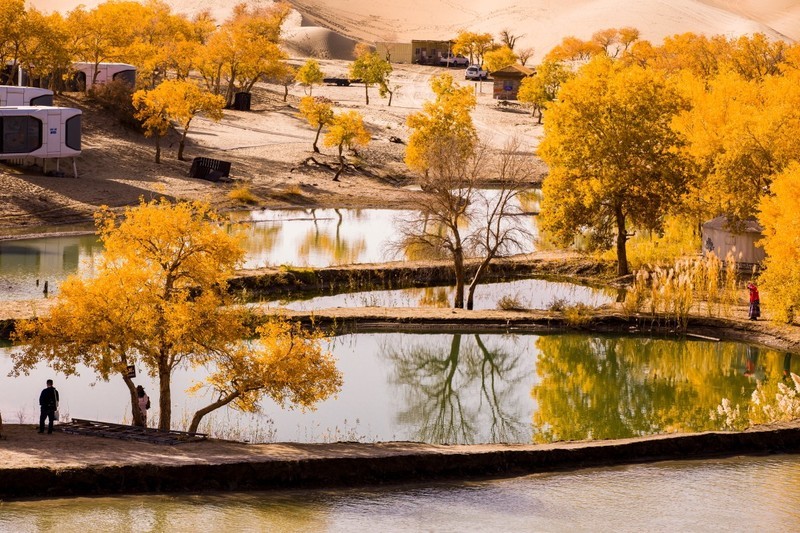 外出随拍（692）.