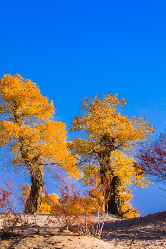 外出随拍（690）.