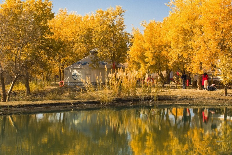 外出随拍（691）.