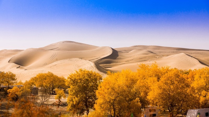 外出随拍（691）.