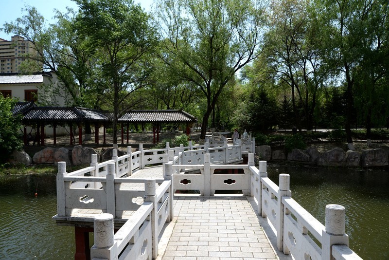 初夏——南湖公园（2）