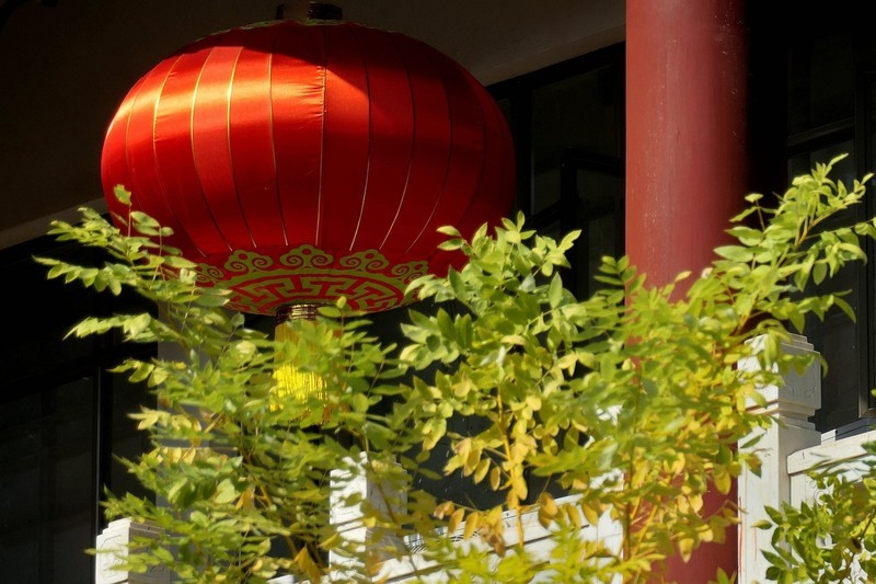 武汉植物园随拍