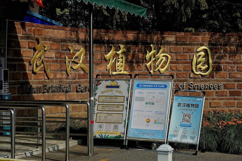 武汉植物园随拍