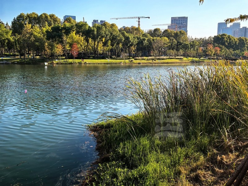 后襄河公园新貌2——武汉随笔