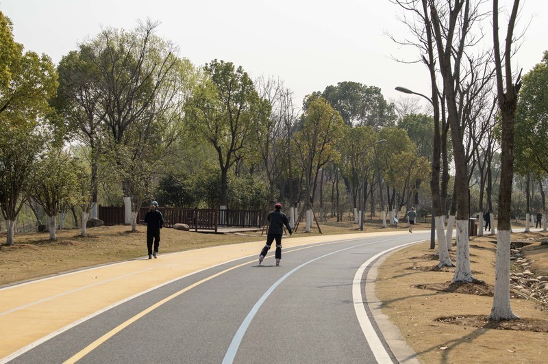 庐州印象（610）