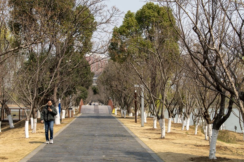 庐州印象（614）