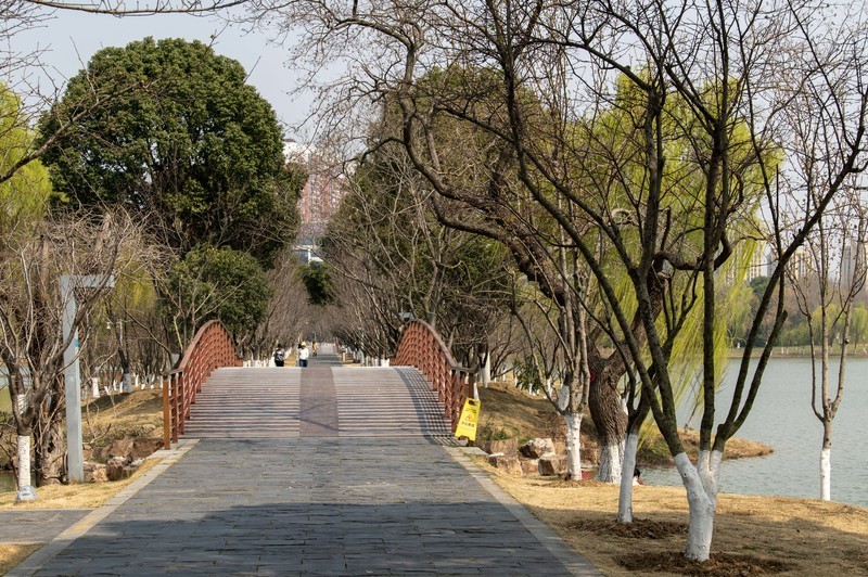 庐州印象（614）