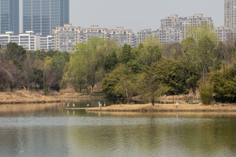 庐州印象（614）