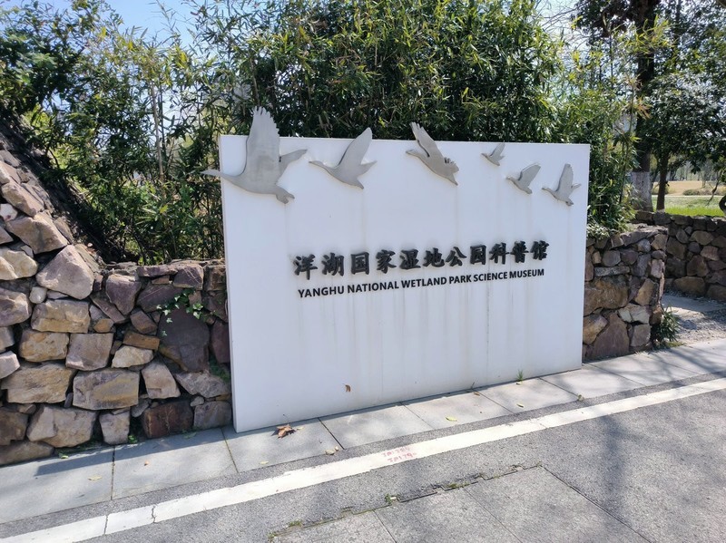 漫步星城 （1025）学习湿地知识  亲近自然生态