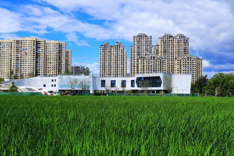 三垟湿地公园 (2)