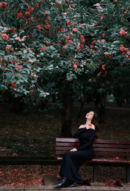 烈士公园红山茶中来打卡3