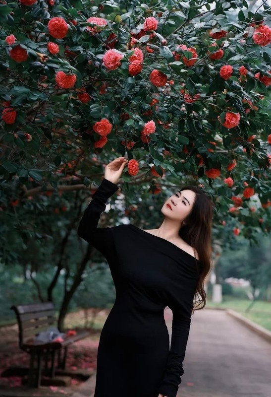 烈士公园红山茶中来打卡3