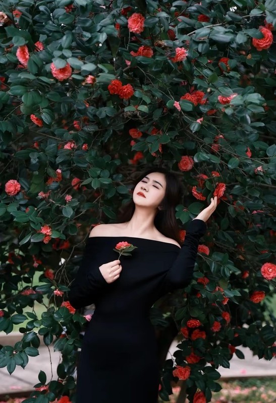 烈士公园红山茶中来打卡3