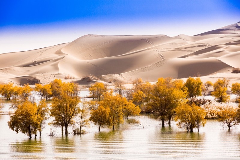 外出随拍（695）.