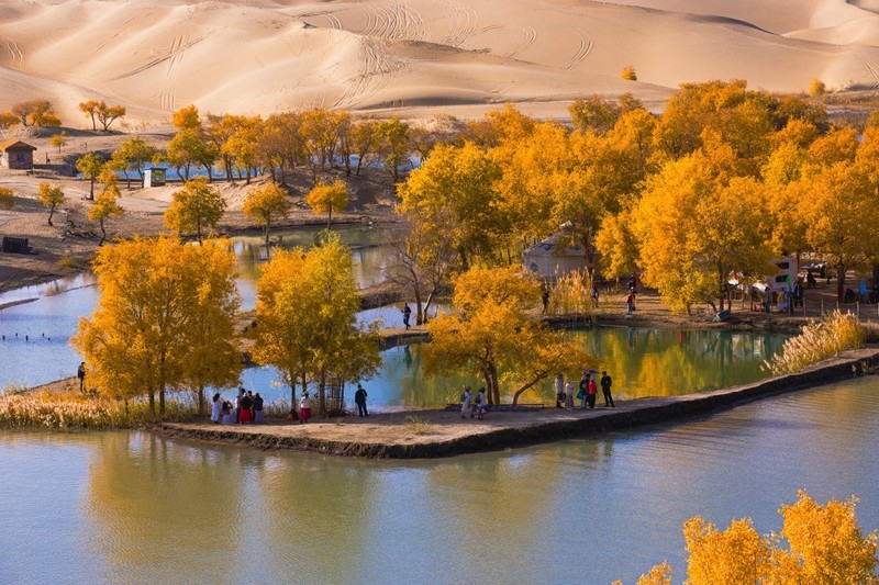 外出随拍（695）.