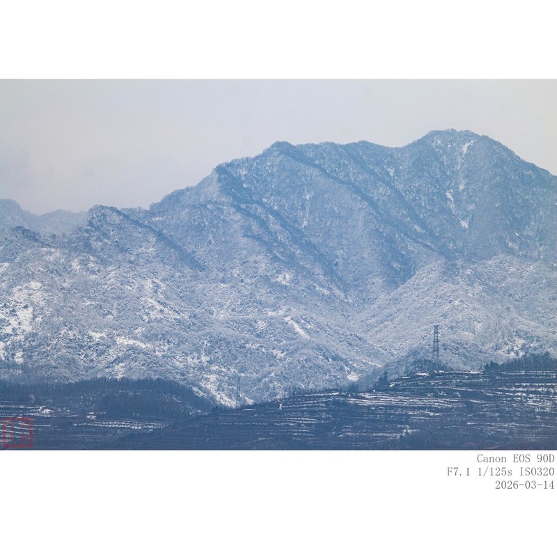 3月14日  南山雪