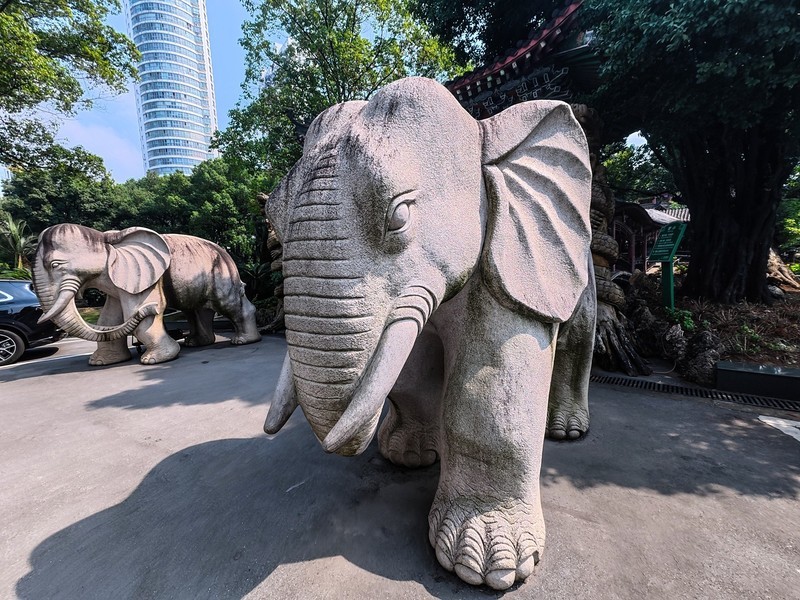一组石雕【大疆运动相机】29