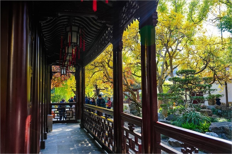 2025年第0856贴-上海豫园纪实旅拍（1212）