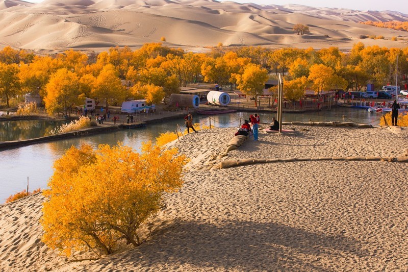 外出随拍（698）.