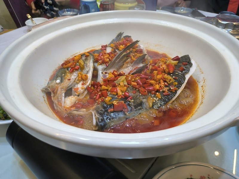 漫步星城 （1007）冬日透窗而望