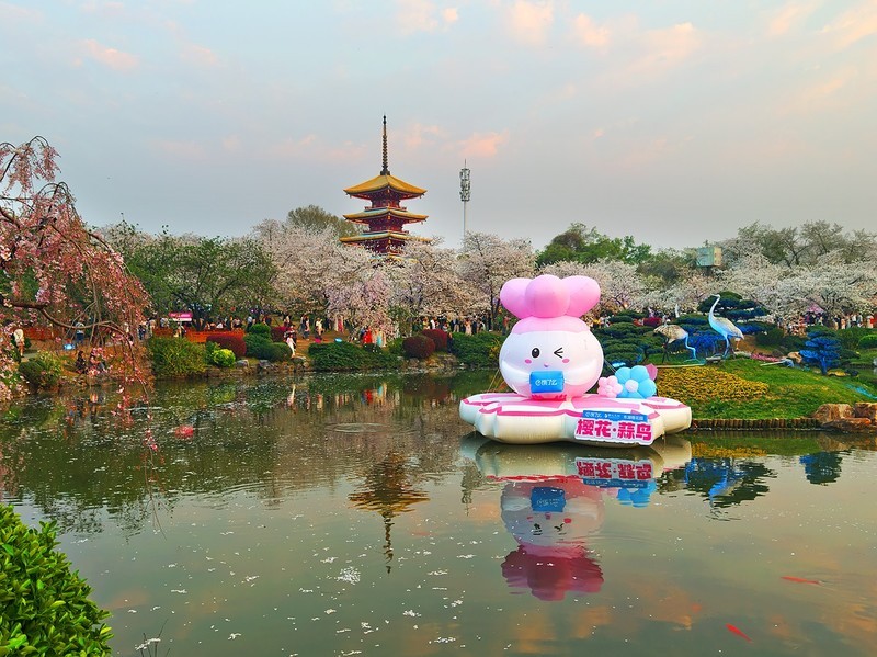 武汉东湖樱花园21