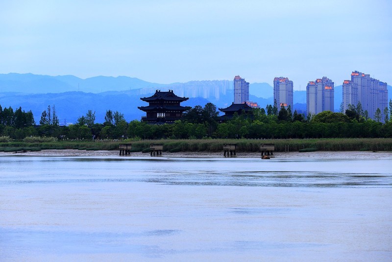 江心屿风光 (13)