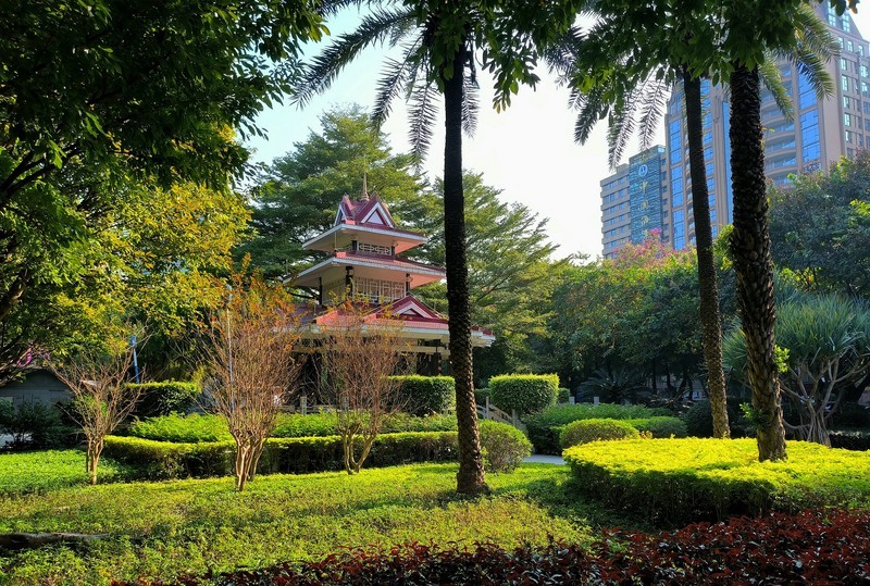 在滨江东一带闲逛。