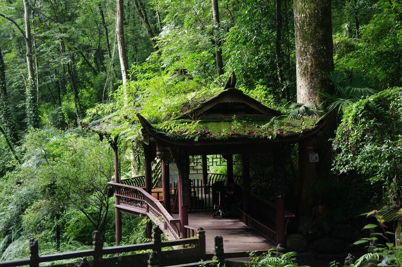 青城山游记