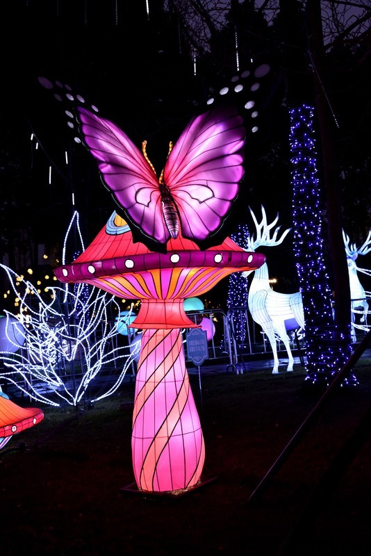 金沙太阳节【4】