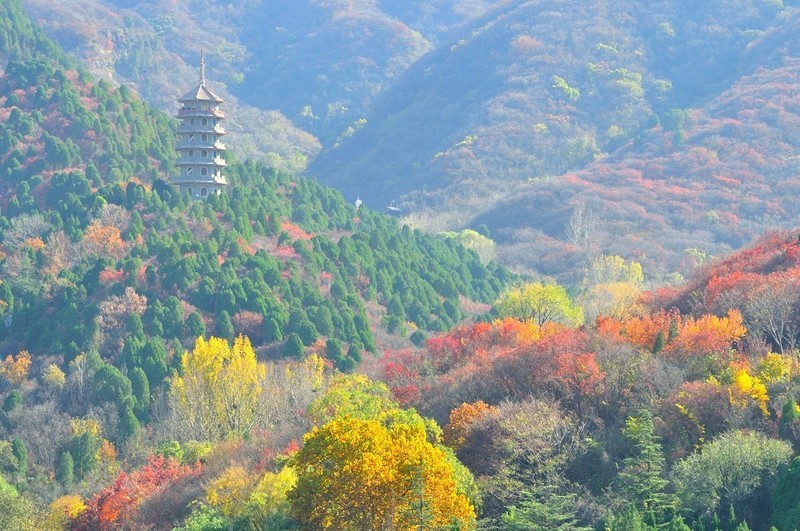 【视觉光影】 济 南 红 叶 谷（1）